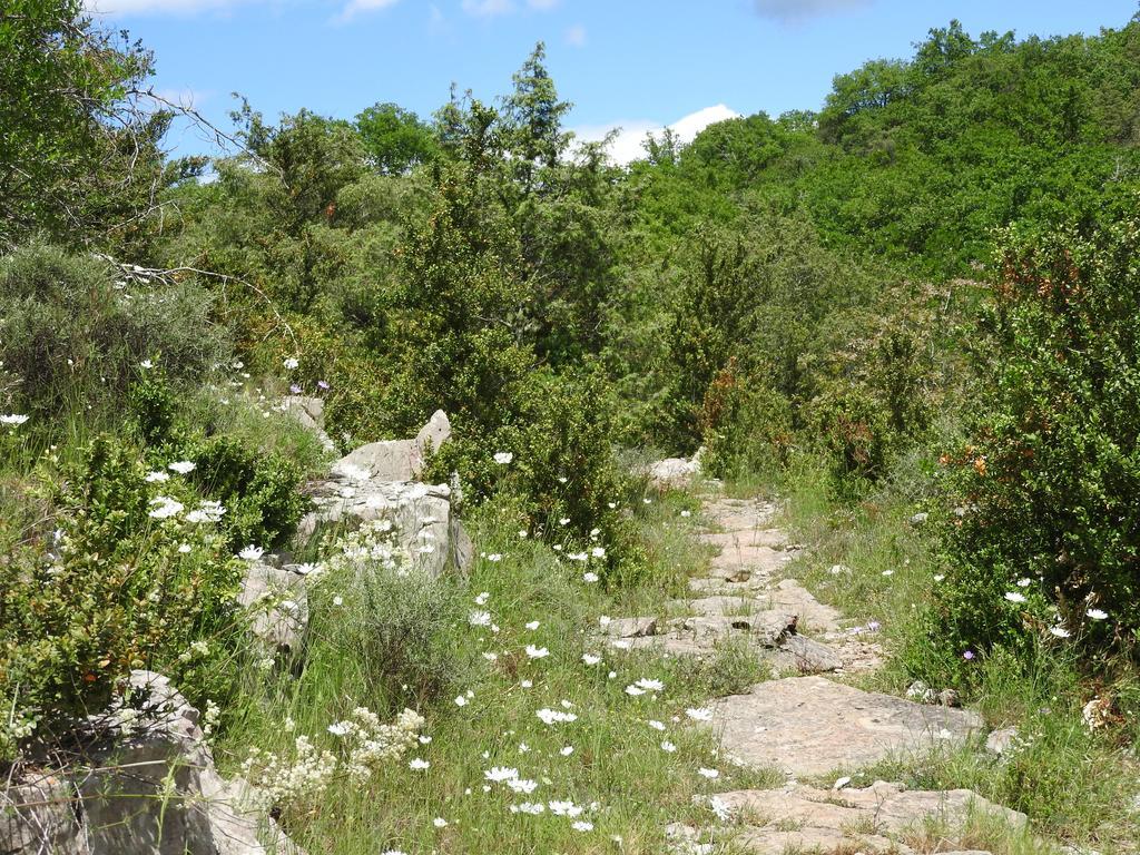 La Nichoule Villa Rosières Kültér fotó